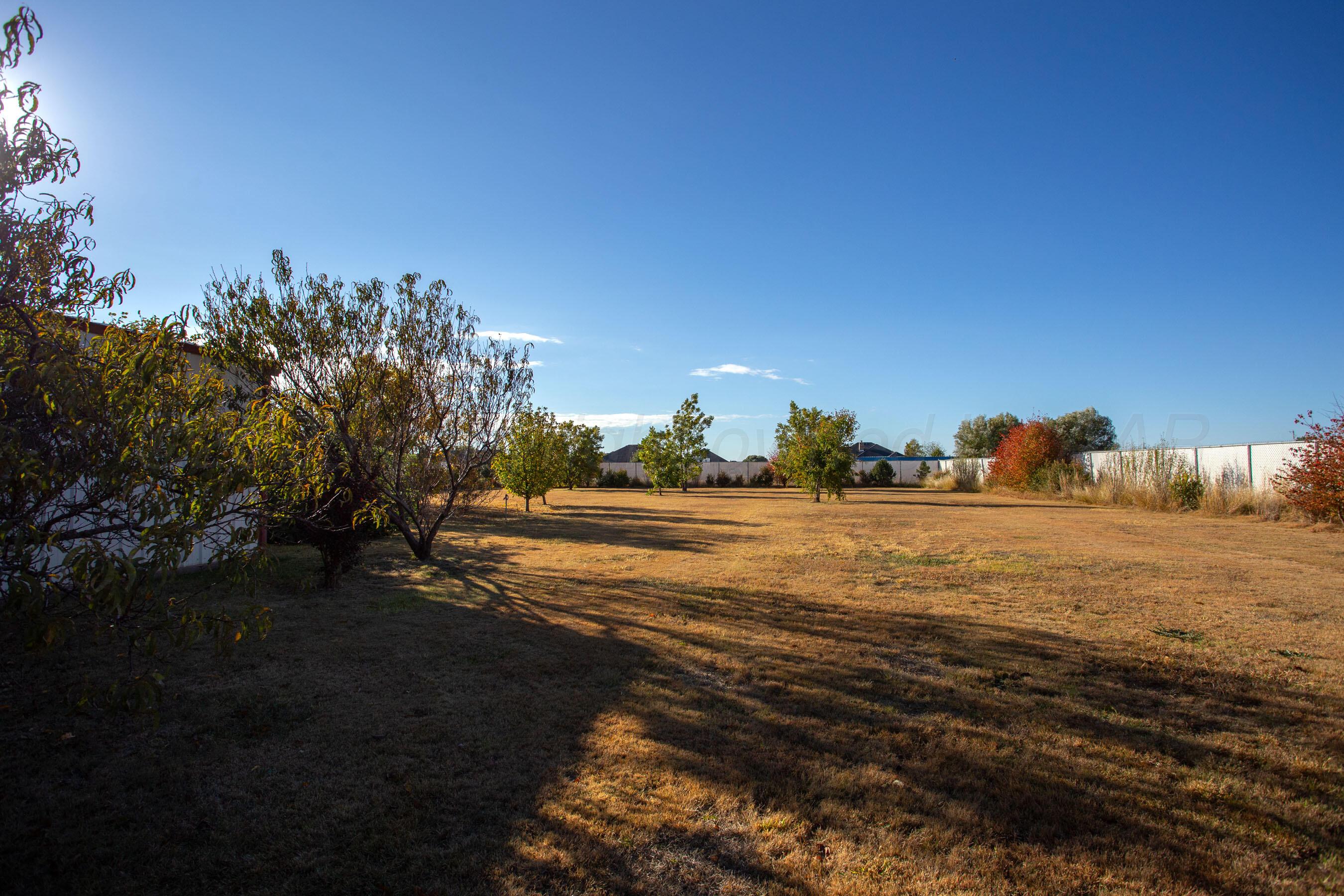 8001 Raburn Lane Canyon, TX 79015 - Photo 34 of 50 32