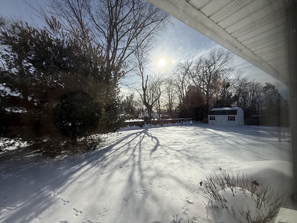 30 Alroy Road Weymouth, MA 02190 - Photo 5 of 40 a view of outdoor space yard and trees