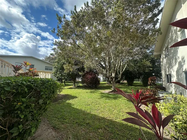 a view of a park with large trees