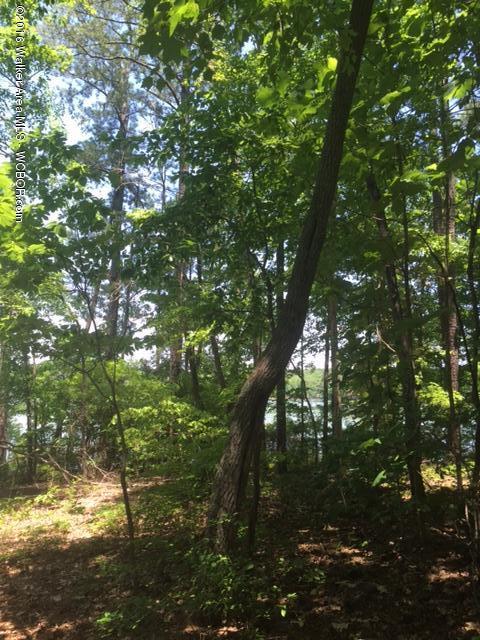 South Dogwood Road Double Springs, AL 35553 - Photo 13 of 15 Gallery Image 13