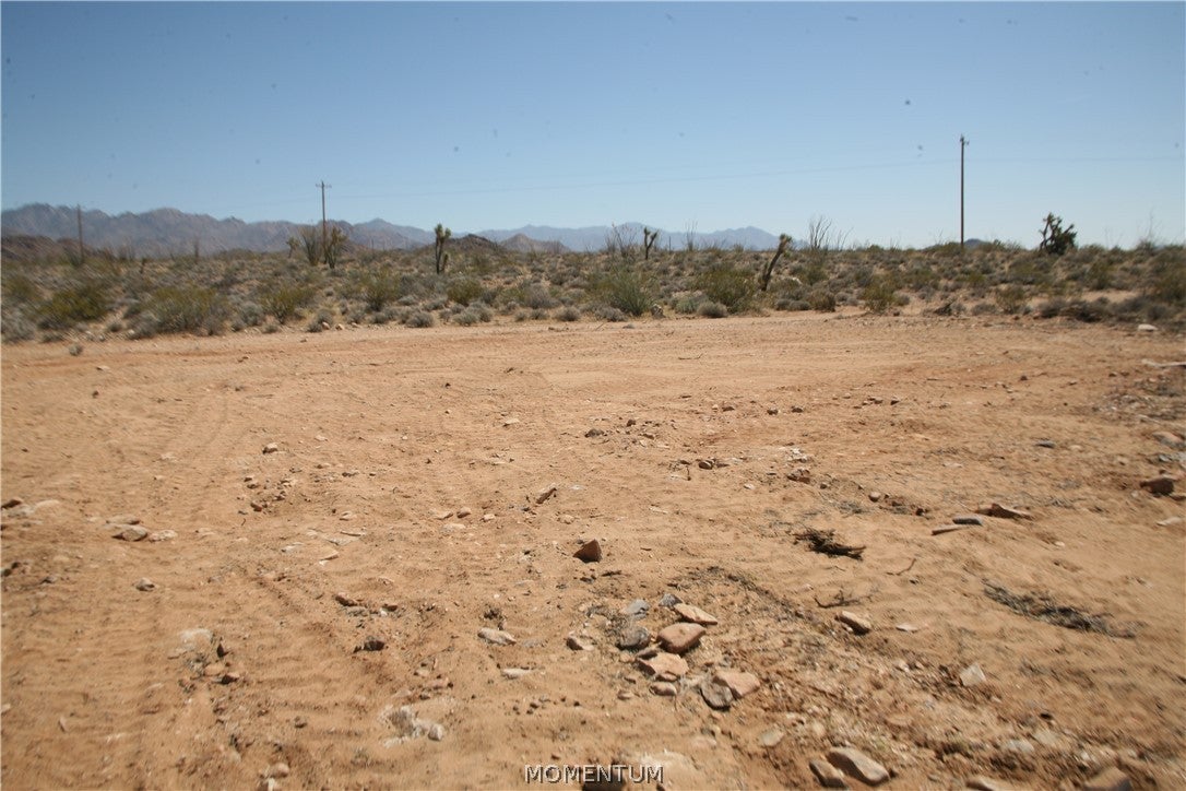 208-24-134 South Cameron Road Yucca, AZ 86438 - Photo 6 of 86 Gallery Image 6