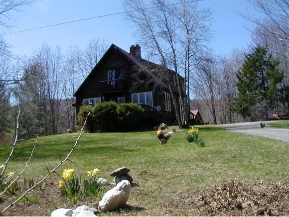 3478 Camp Brook Road Bethel, VT 05032 - Photo 1 of 1 Gallery Image 1