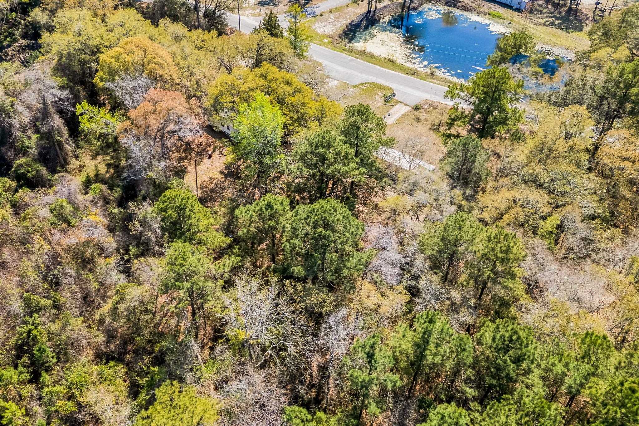 3626 Half Pint Road Longs, SC 29568 - Photo 51 of 52