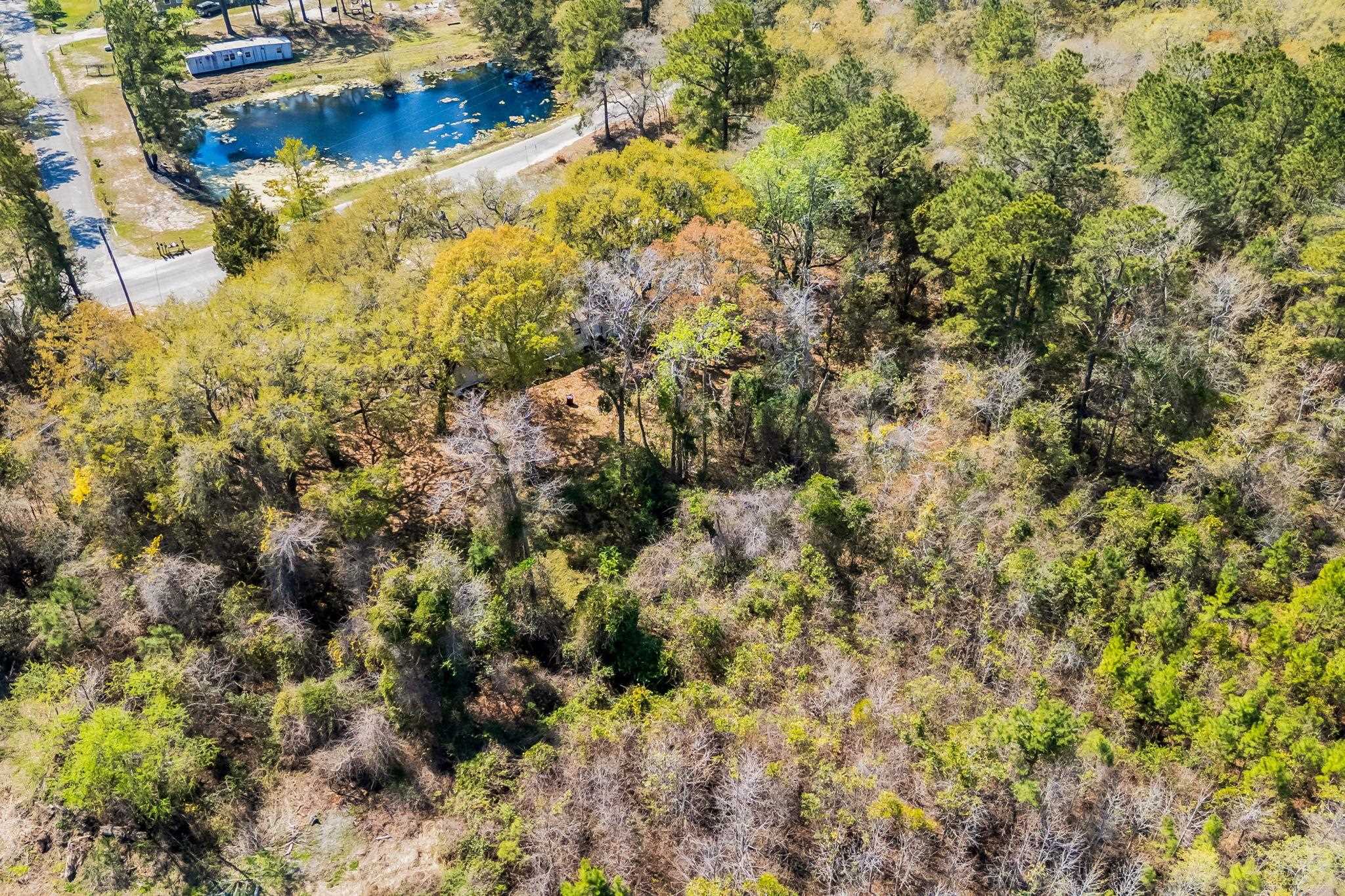 3626 Half Pint Road Longs, SC 29568 - Photo 52 of 52