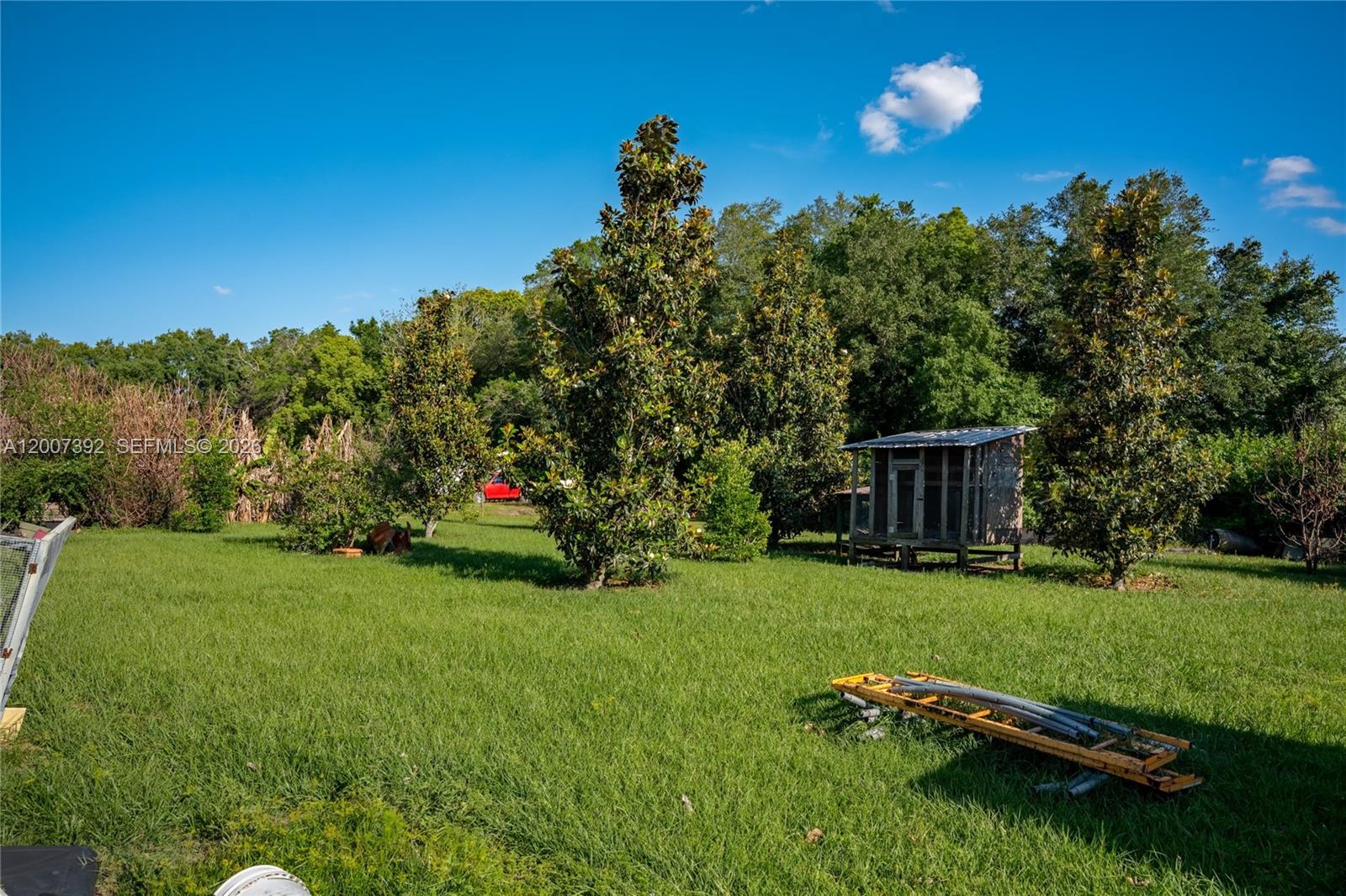 6924 Holly Creek Road Mount Dora, FL 32757 - Photo 20 of 25 a view of a golf course with a garden