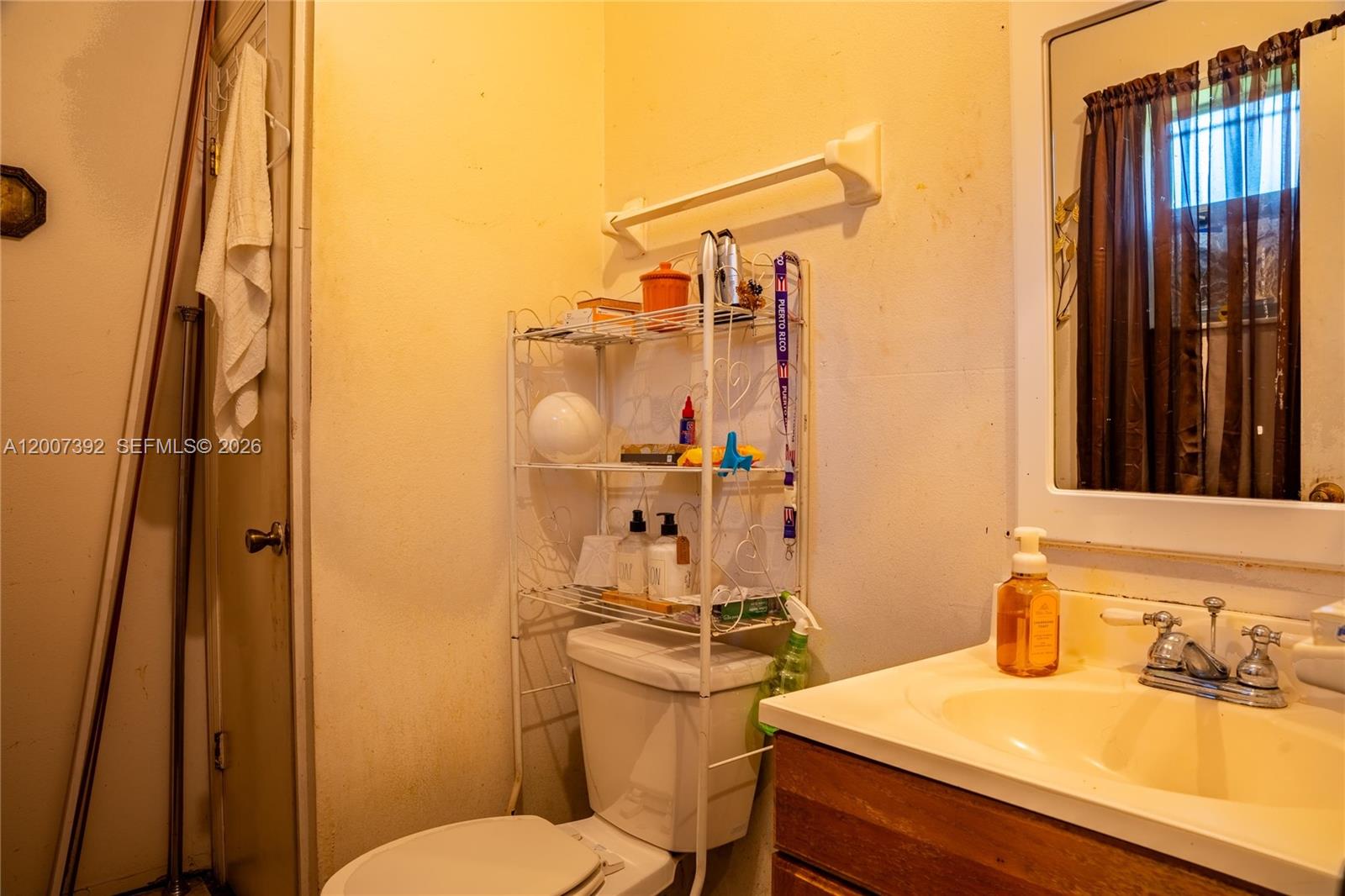 6924 Holly Creek Road Mount Dora, FL 32757 - Photo 2 of 25 a bathroom with a sink a toilet a mirror and shower curtain