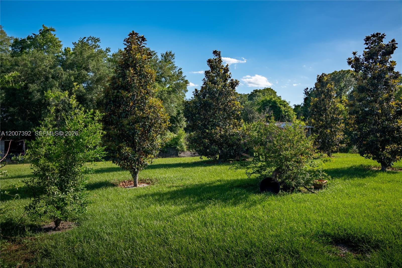 6924 Holly Creek Road Mount Dora, FL 32757 - Photo 23 of 25 a view of field with trees in the background