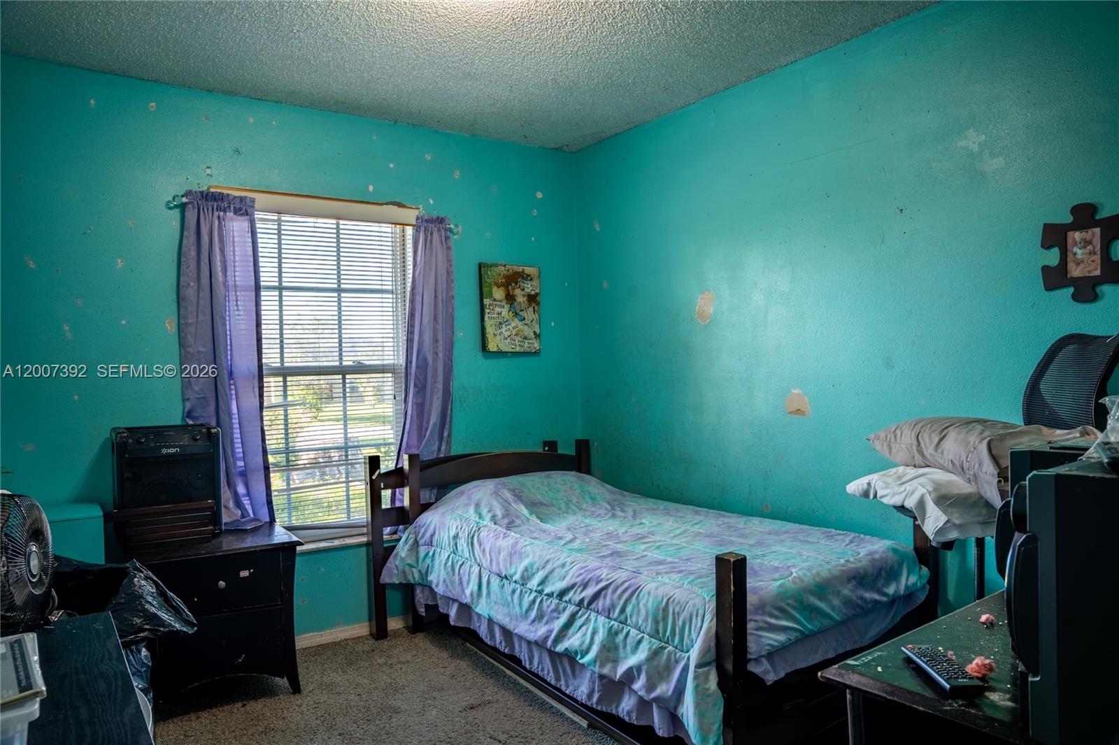 6924 Holly Creek Road Mount Dora, FL 32757 - Photo 5 of 25 a bedroom with a bed and a window