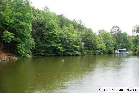 Peninsula Drive, Unit 47 Wedowee, AL 36278 - Photo 3 of 9
