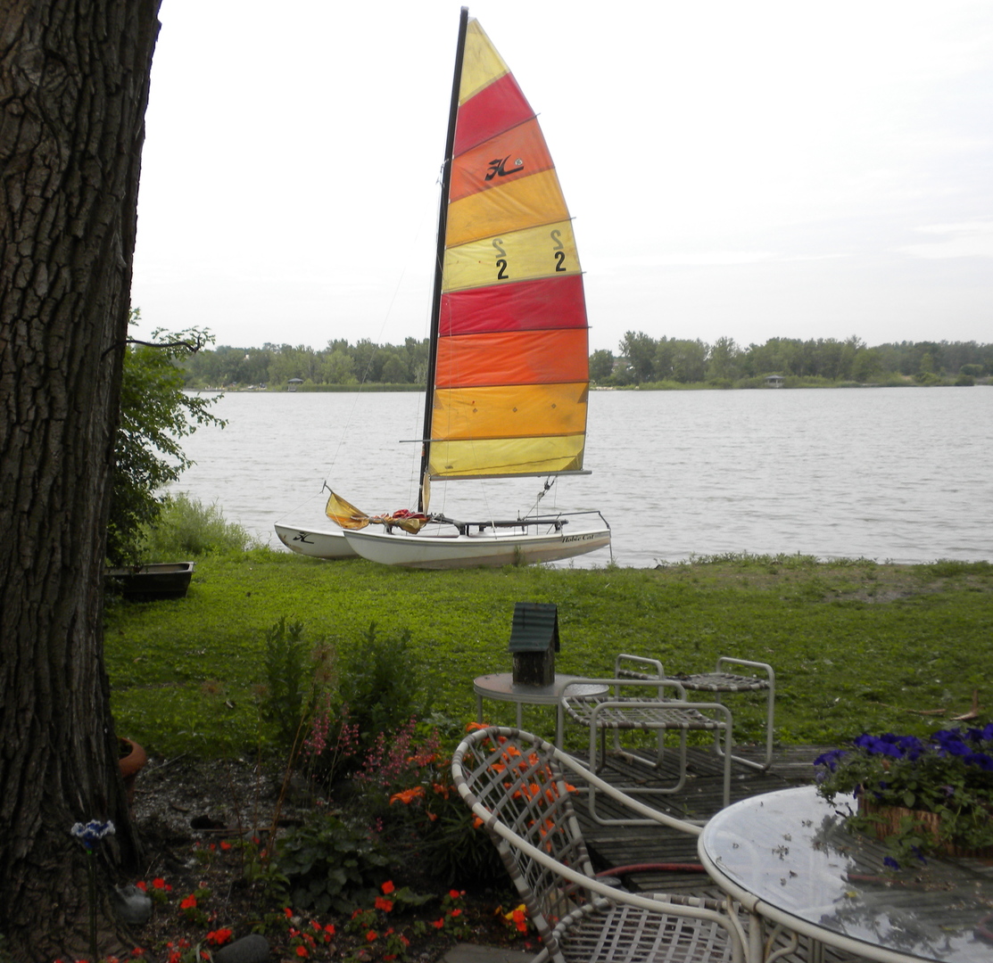 10300 West 159th Street Orland Park, IL 60462 - Photo 5 of 15 a view of a lake with a yard and potted plants