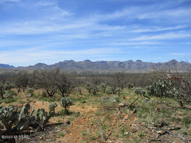 1659 Circulo Puerto, Unit 14 Rio Rico, AZ 85648 - Photo 4 of 8
