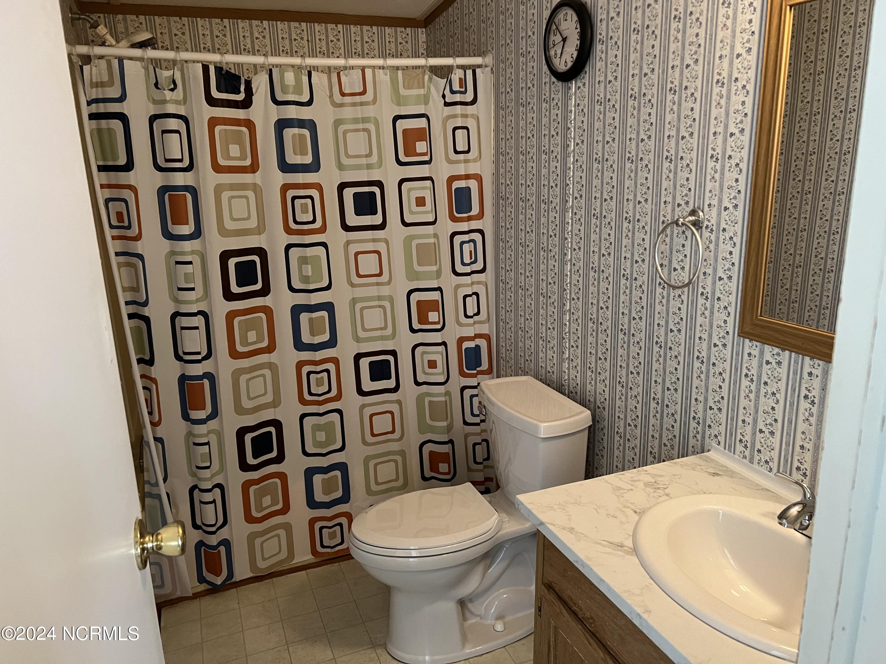 4345 Colonial Road Tarboro, NC 27886 - Photo 18 of 32 Bathroom