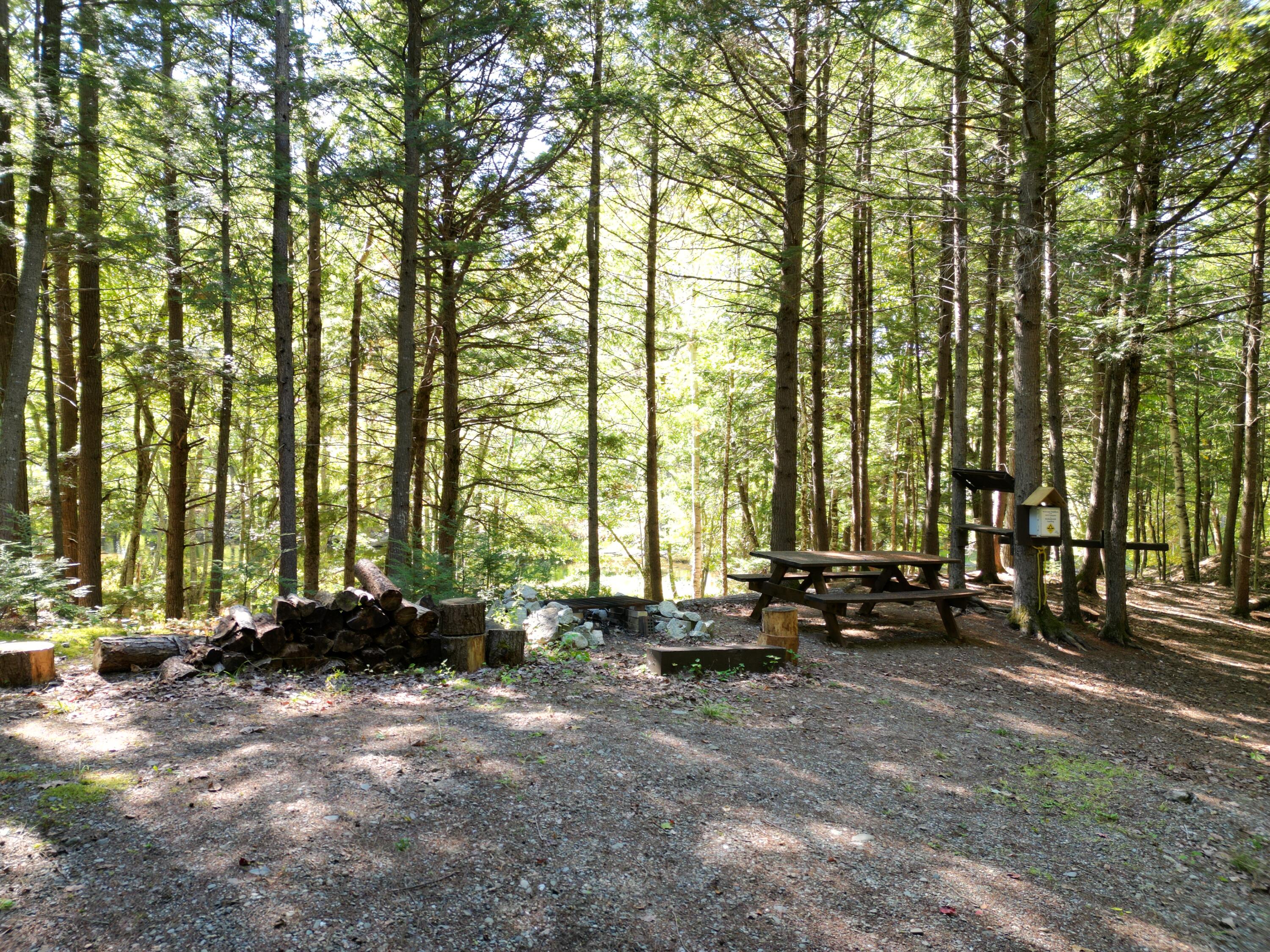 27-29 Loop Road Chester, ME 04457 - Photo 25 of 46 DJI_0030
