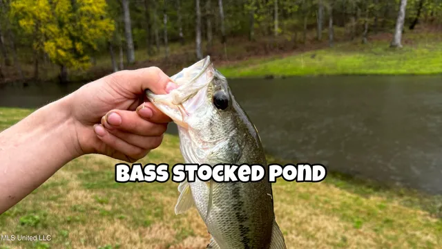 $567,000 | 4035 Garden Road, Southaven, MS 38672