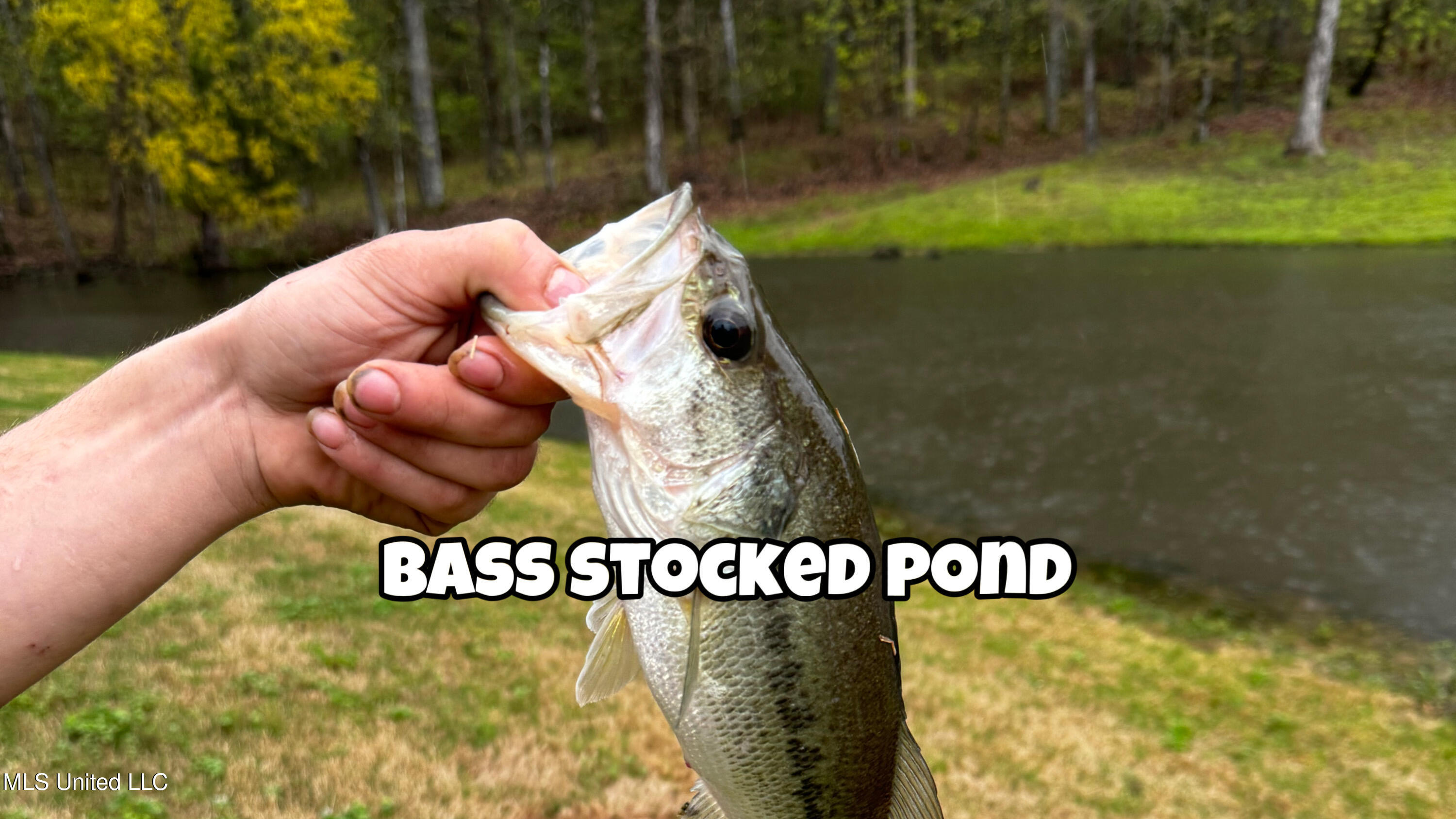 4035 Garden Road Southaven, MS 38672 - Photo 31 of 35 548CE2C5-EF84-4D07-9822-9EB6AC62D7F4