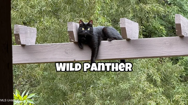 $567,000 | 4035 Garden Road, Southaven, MS 38672