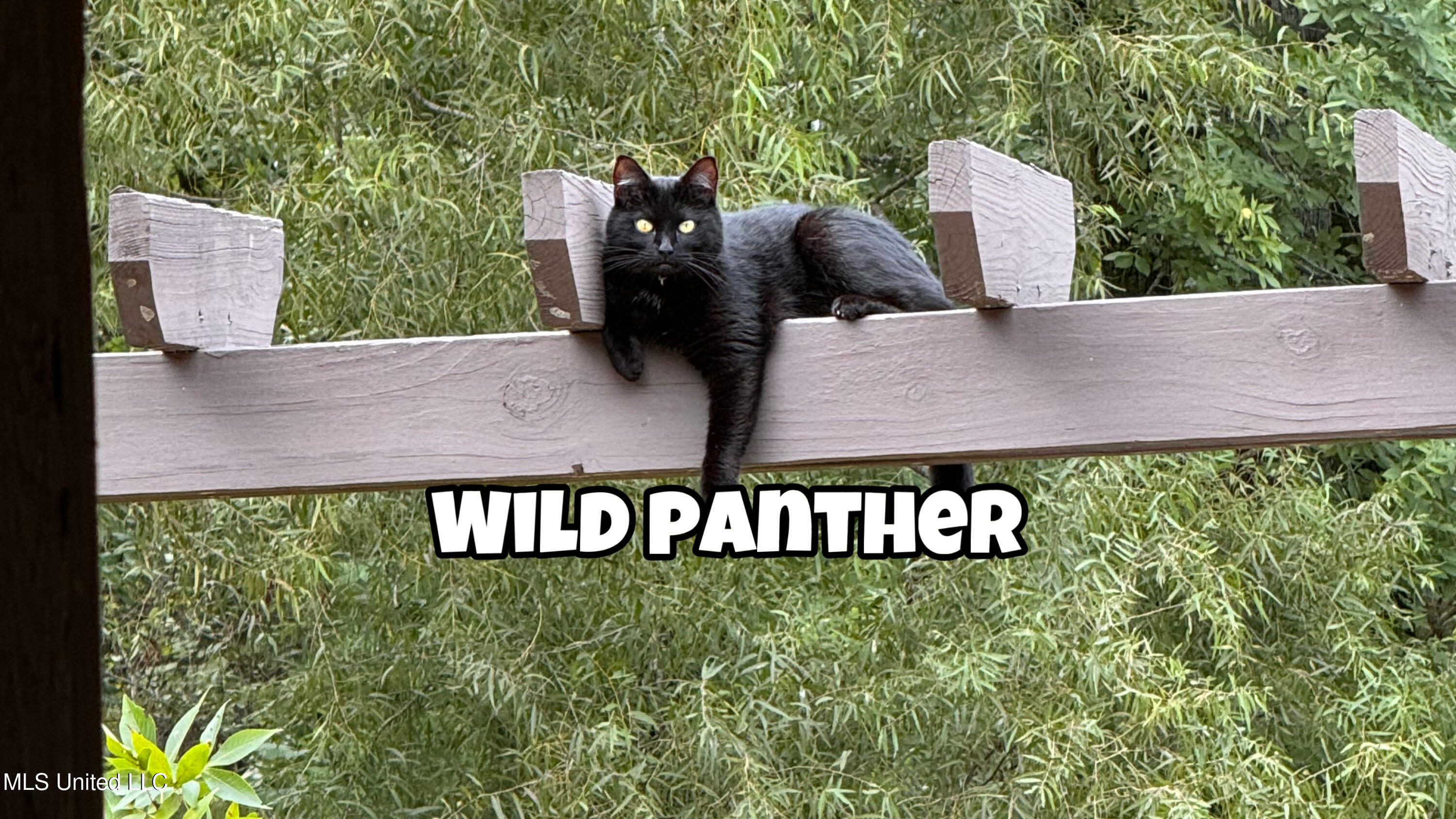 4035 Garden Road Southaven, MS 38672 - Photo 34 of 35 0F6E4FFF-6955-409D-BBA3-88708A4C08D4