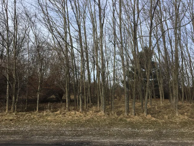 $59,000 | 0 12th Street, Manistee, MI 49660