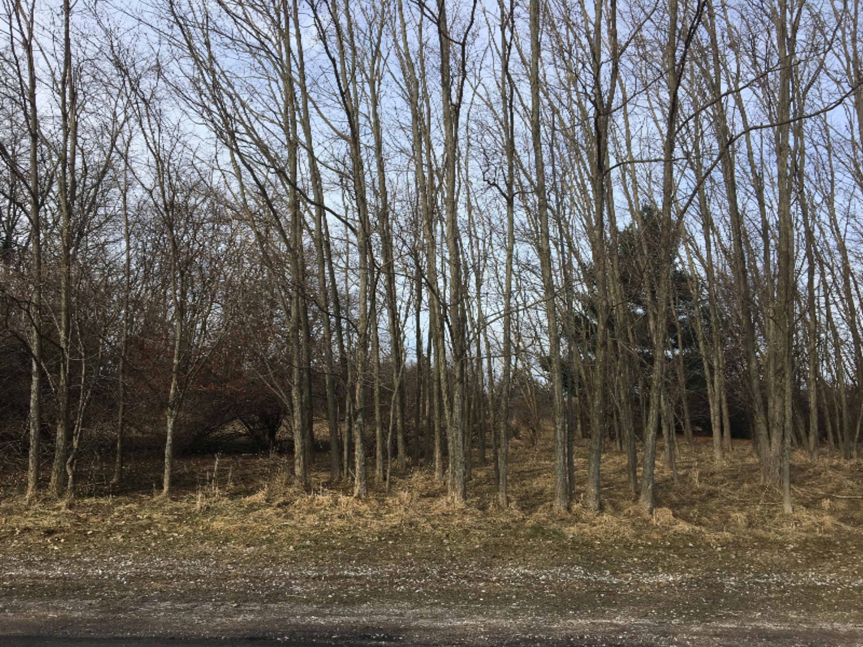 0 12th Street Manistee, MI 49660 - Photo 3 of 8 View from 12 St.