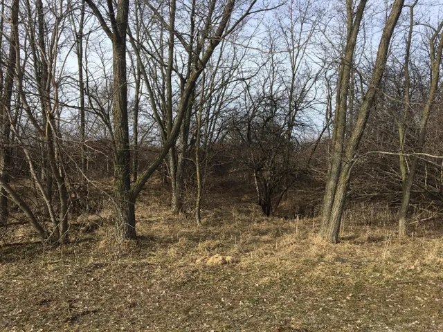 $59,000 | 0 12th Street, Manistee, MI 49660