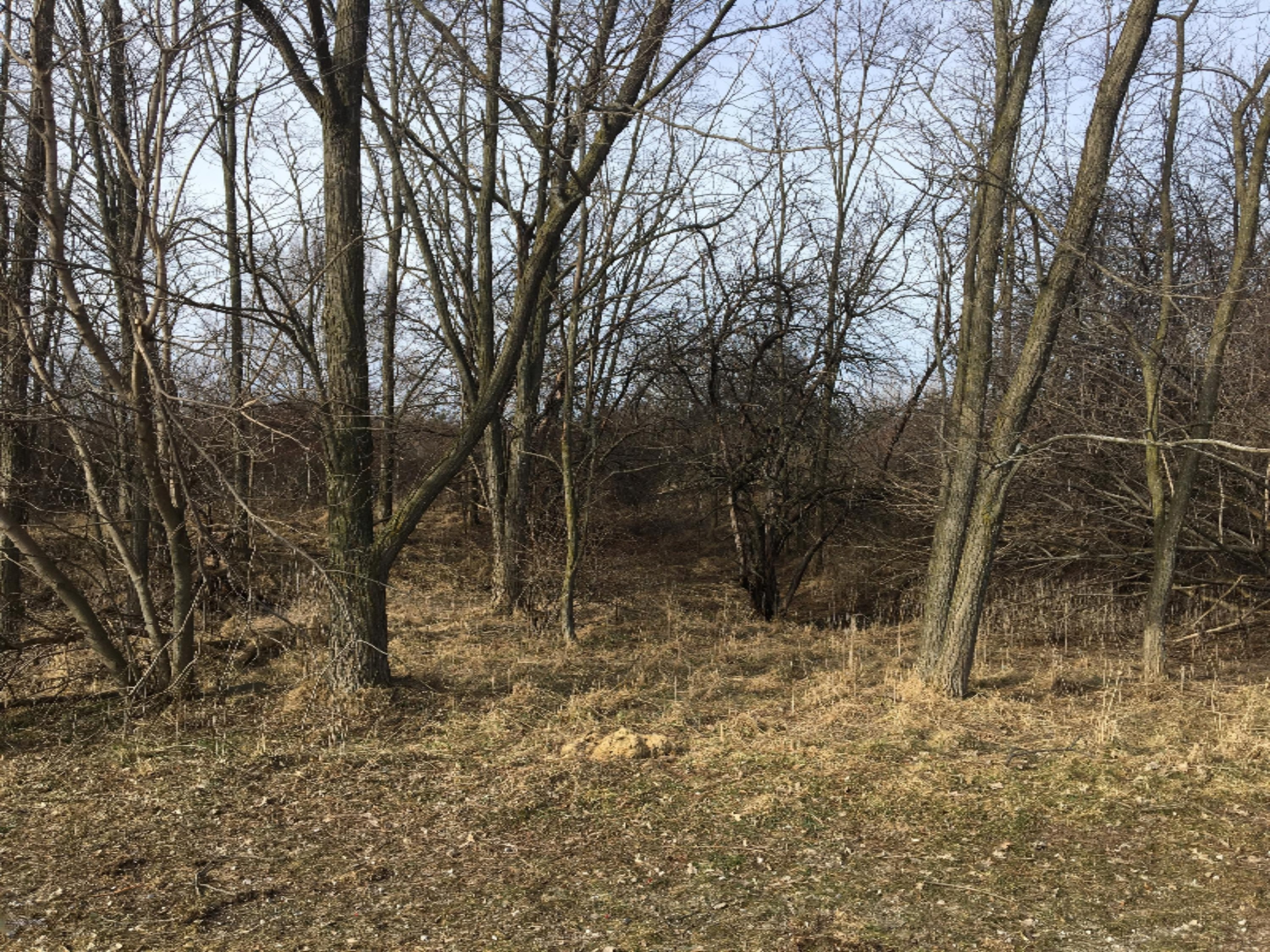 0 12th Street Manistee, MI 49660 - Photo 5 of 8 Located across from high school