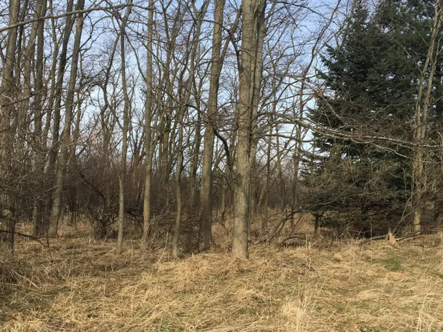 $59,000 | 0 12th Street, Manistee, MI 49660