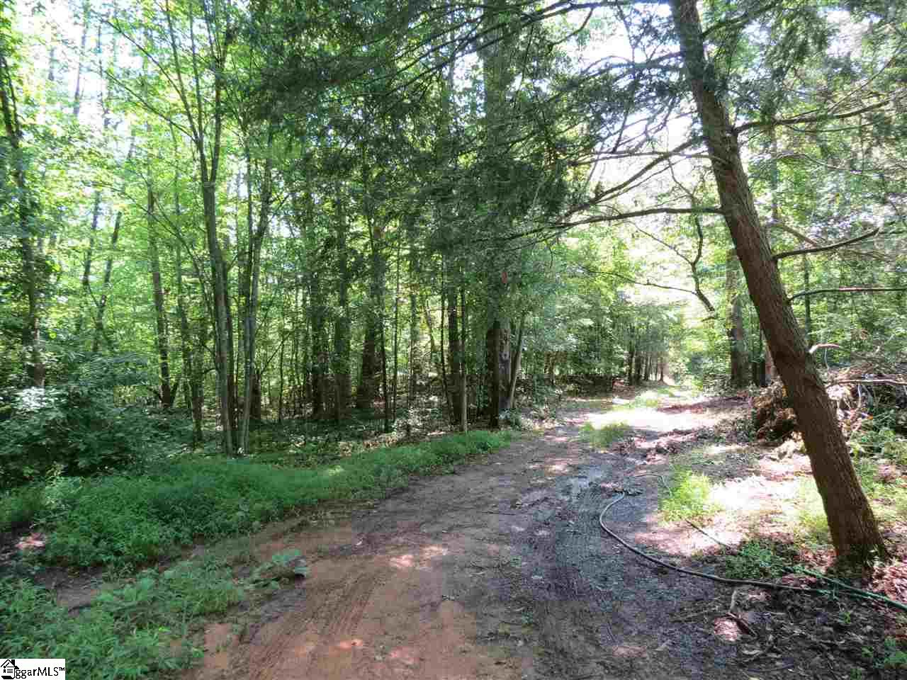 407 Hamilton Road Marietta, SC 29661 - Photo 2 of 22