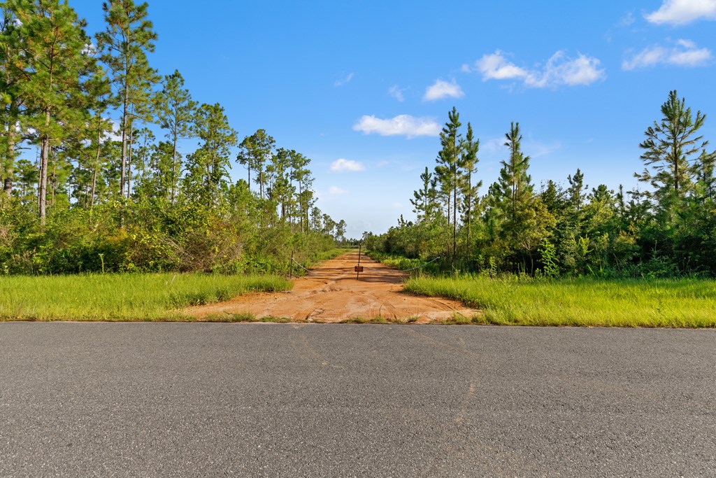 10320 Cowels Road Fountain, FL 32438 - Photo 12 of 22 Gallery Image 12