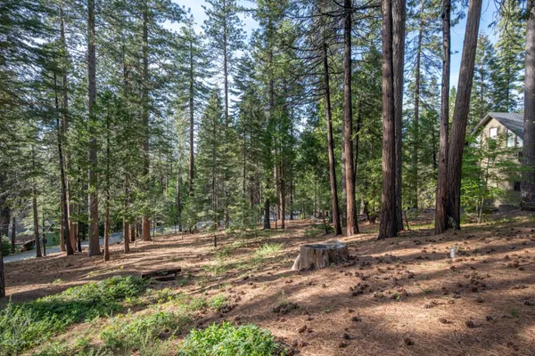 $469,000 | 2041 Baywood View, Arnold, CA 95223