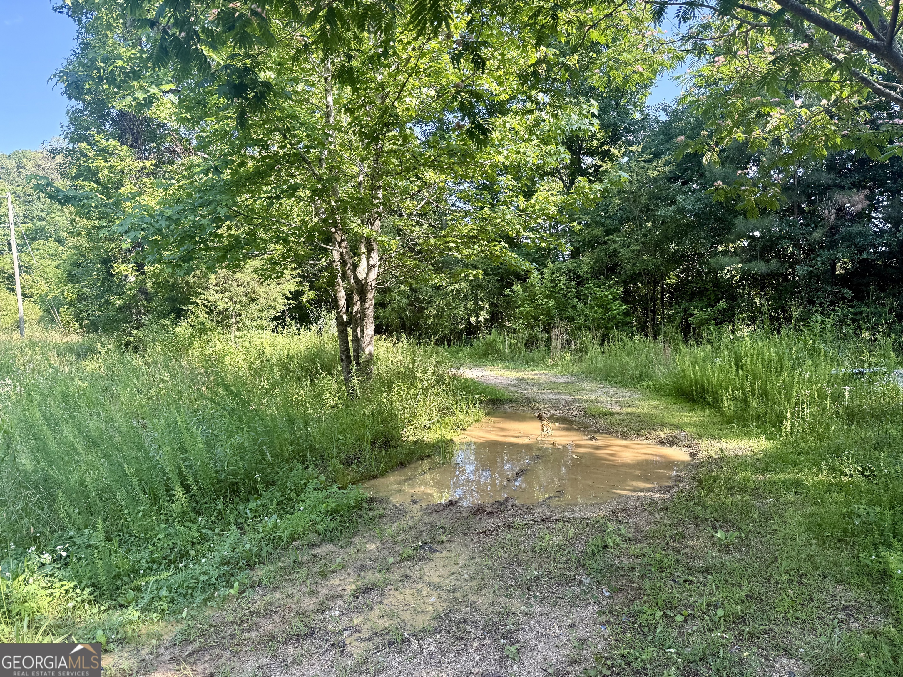 249 Weems Road Lyerly, GA 30730 - Photo 8 of 16