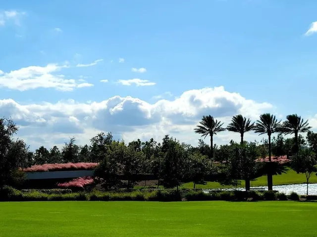 a view of an outdoor space and yard