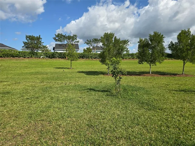 a view of a field with a tree in the background