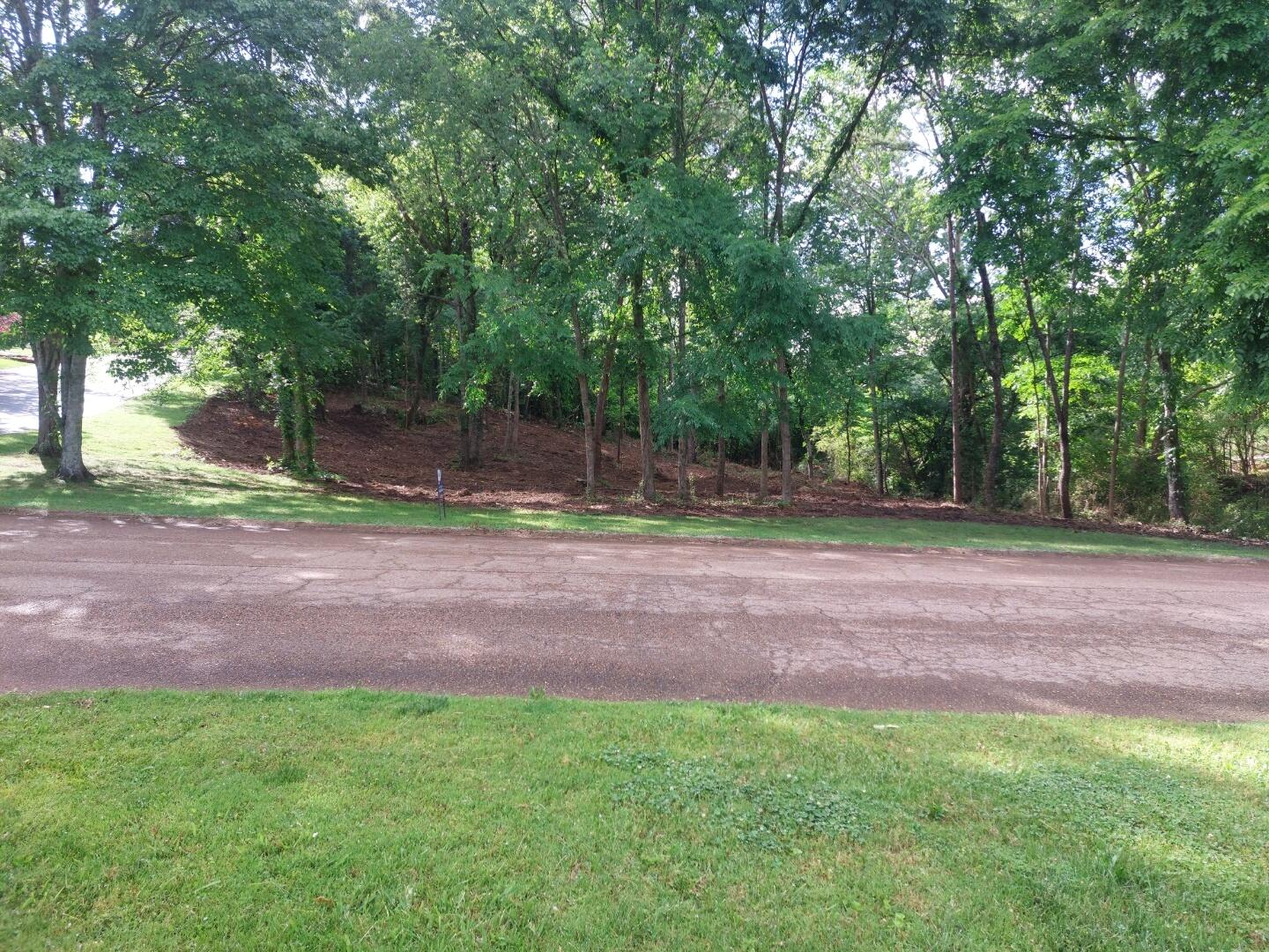 5725 Laurel Ridge Road Chattanooga, TN 37416 - Photo 3 of 10 Corner Cleared Lot