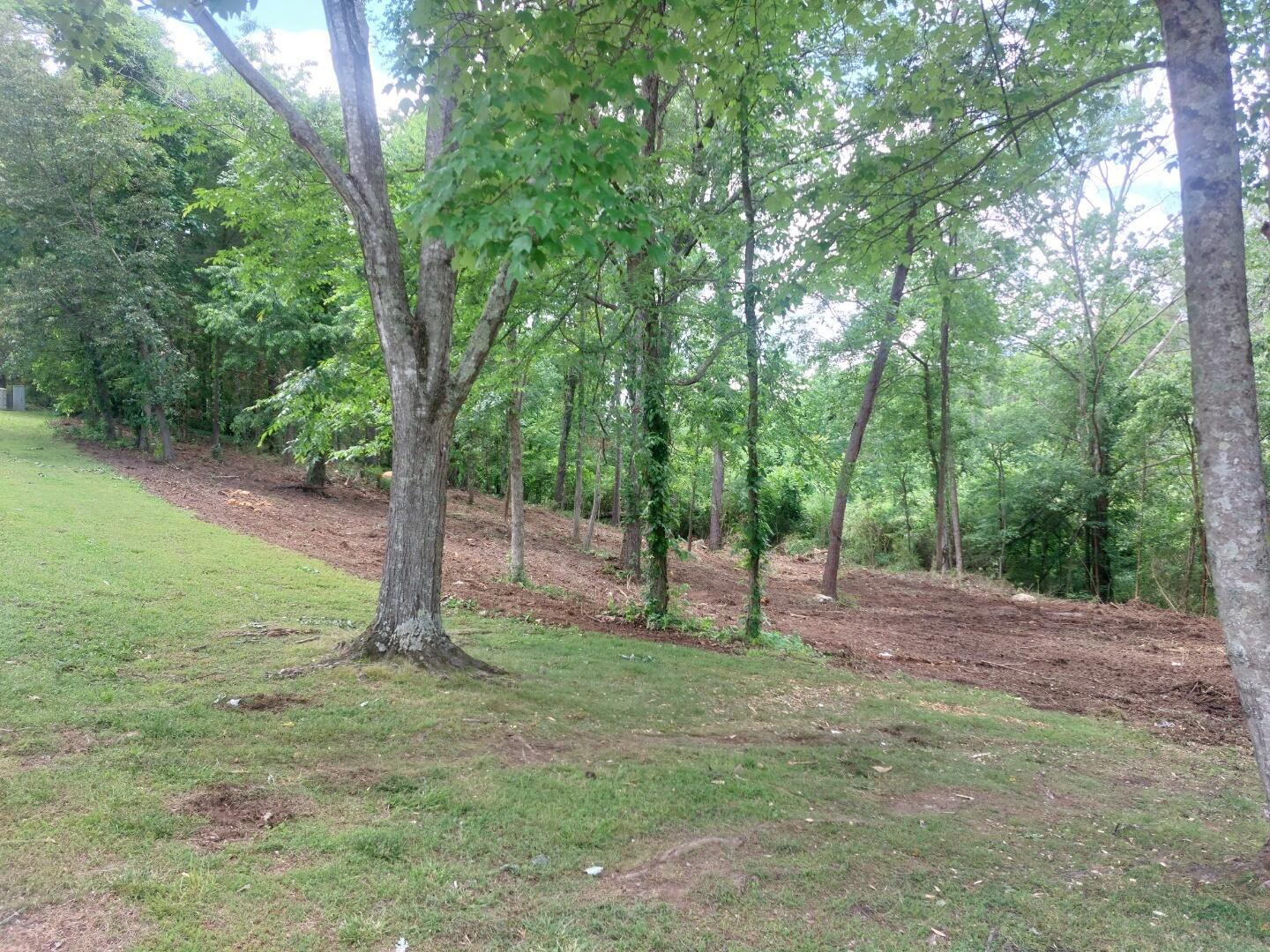 5725 Laurel Ridge Road Chattanooga, TN 37416 - Photo 4 of 10 Cleared Lot