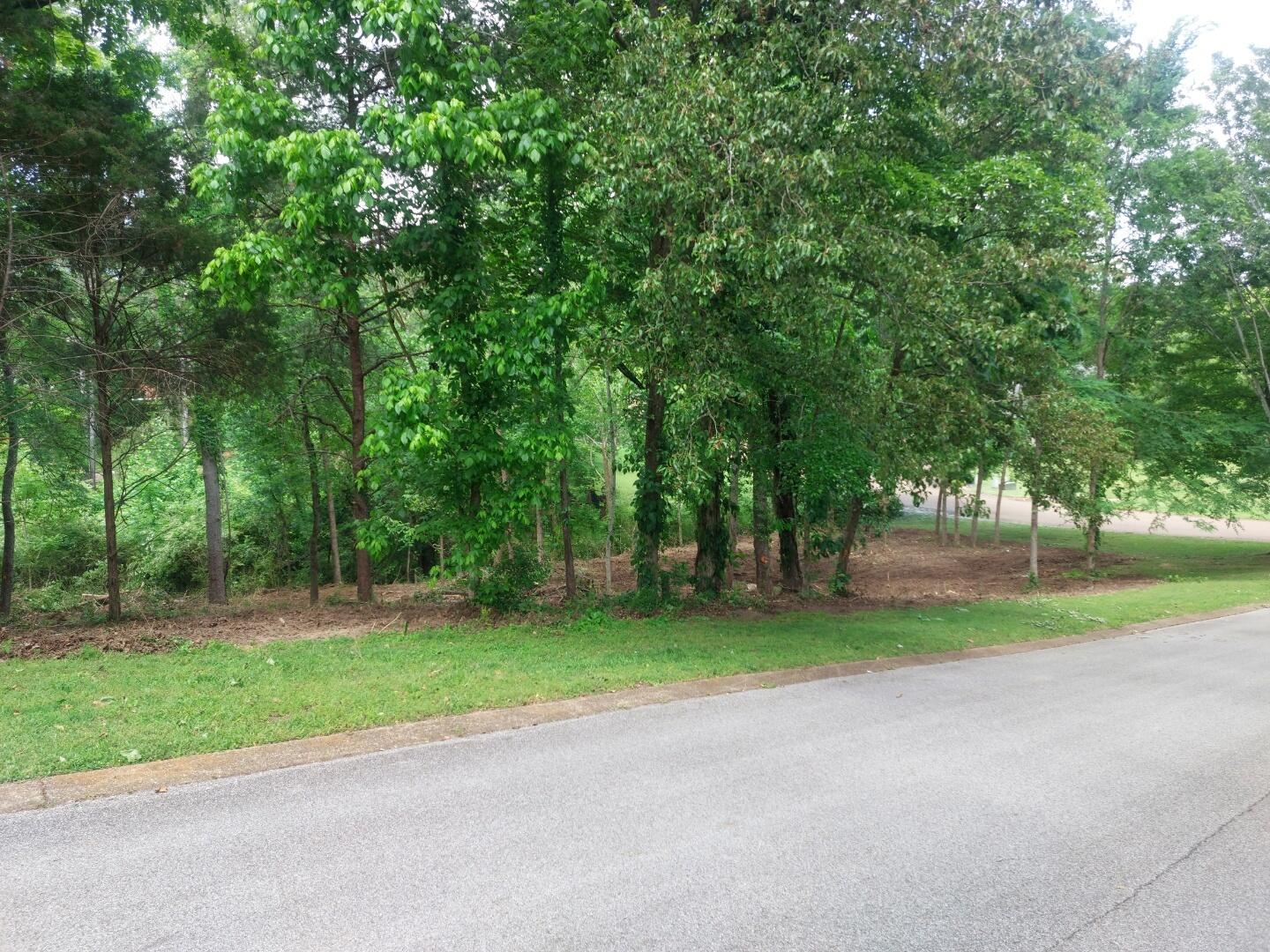 5725 Laurel Ridge Road Chattanooga, TN 37416 - Photo 5 of 10 Cleared Lot