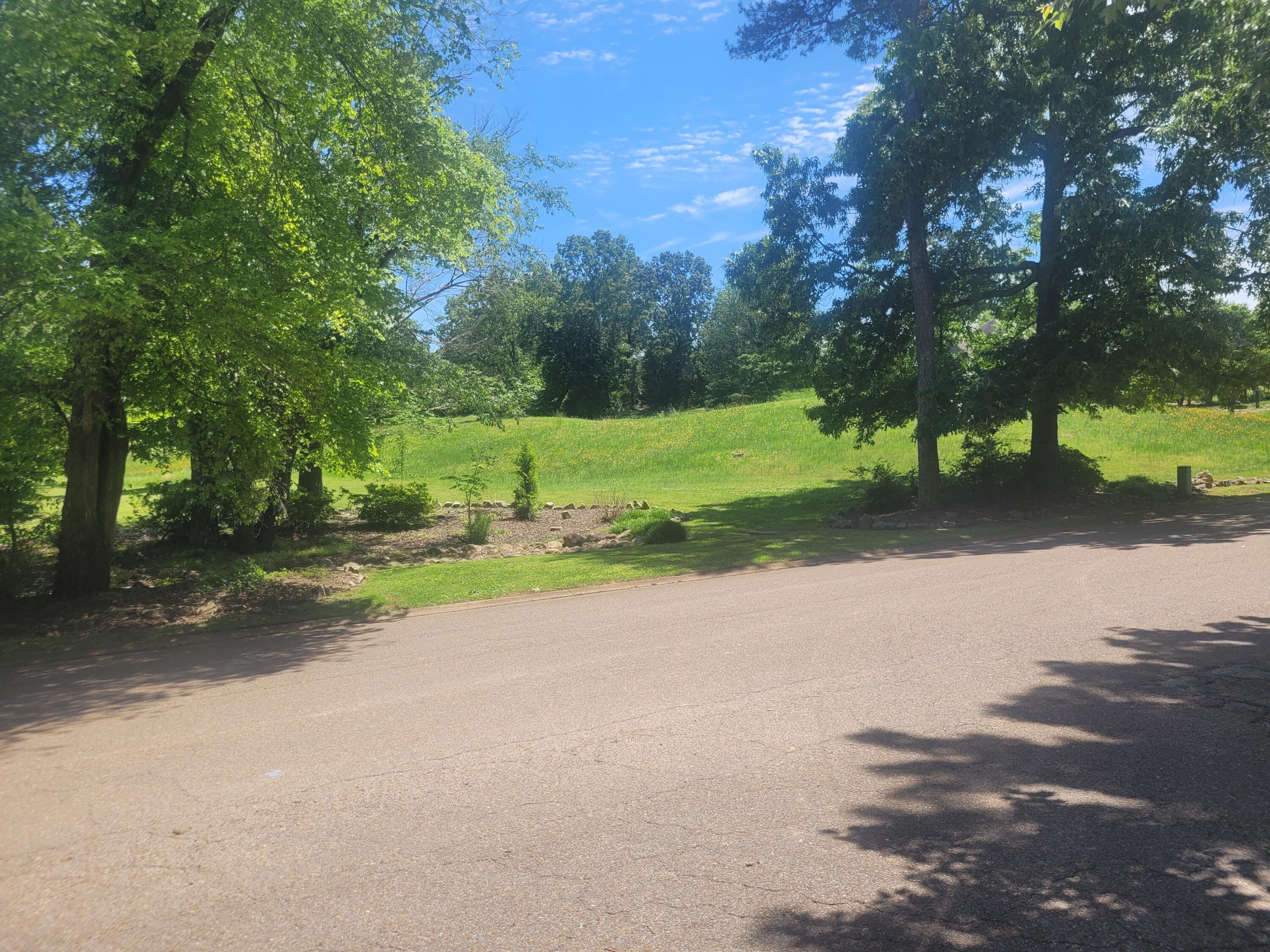 5725 Laurel Ridge Road Chattanooga, TN 37416 - Photo 6 of 10 Golf Course