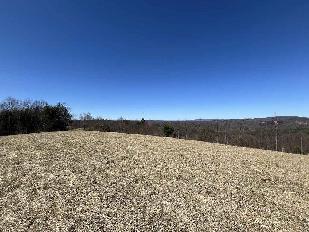 Tbd Silver Leaf Road Dugspur, VA 24325 - Photo 6 of 19 Gallery Image 6