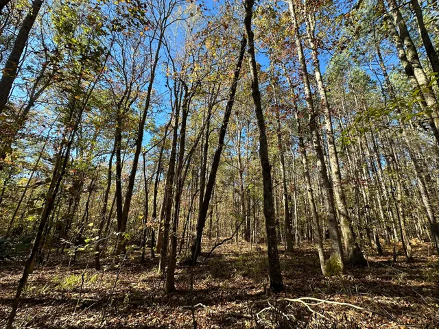 $99,000 | 1223 Edge Lane, Tignall, GA 30668