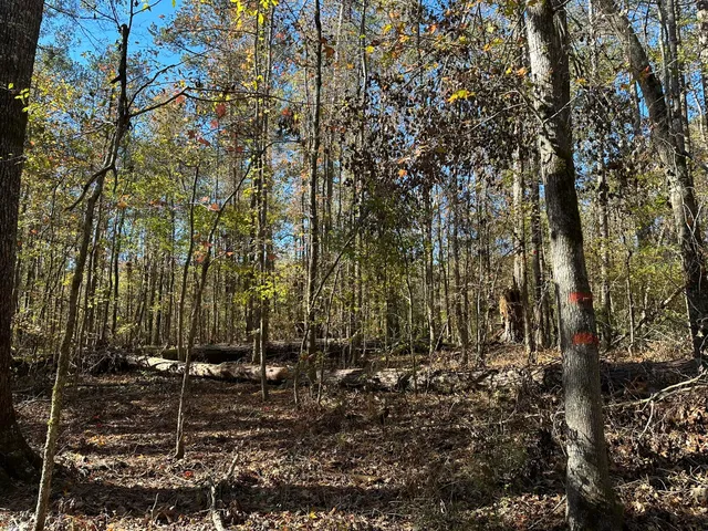 $99,000 | 1223 Edge Lane, Tignall, GA 30668