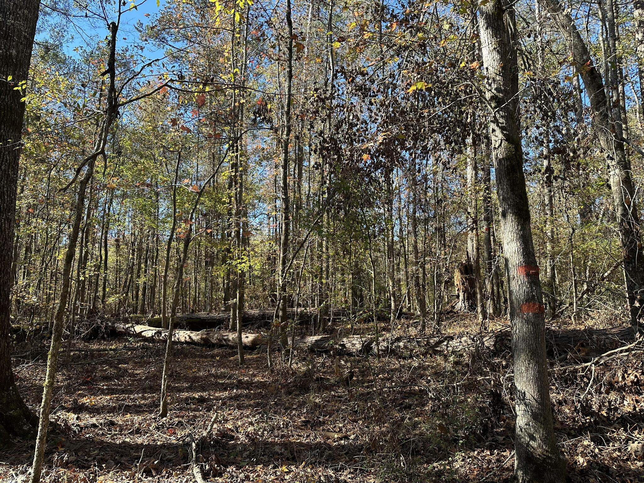 1223 Edge Lane Tignall, GA 30668 - Photo 3 of 14 IMG_9255