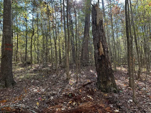 $99,000 | 1223 Edge Lane, Tignall, GA 30668