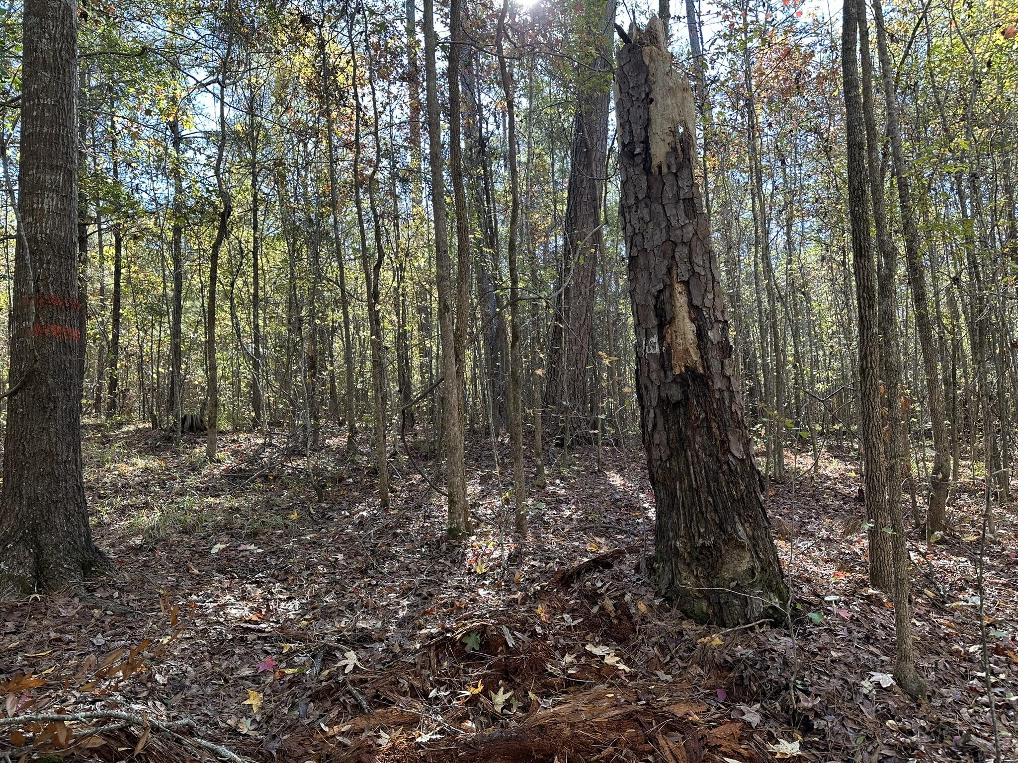 1223 Edge Lane Tignall, GA 30668 - Photo 4 of 14 corps line