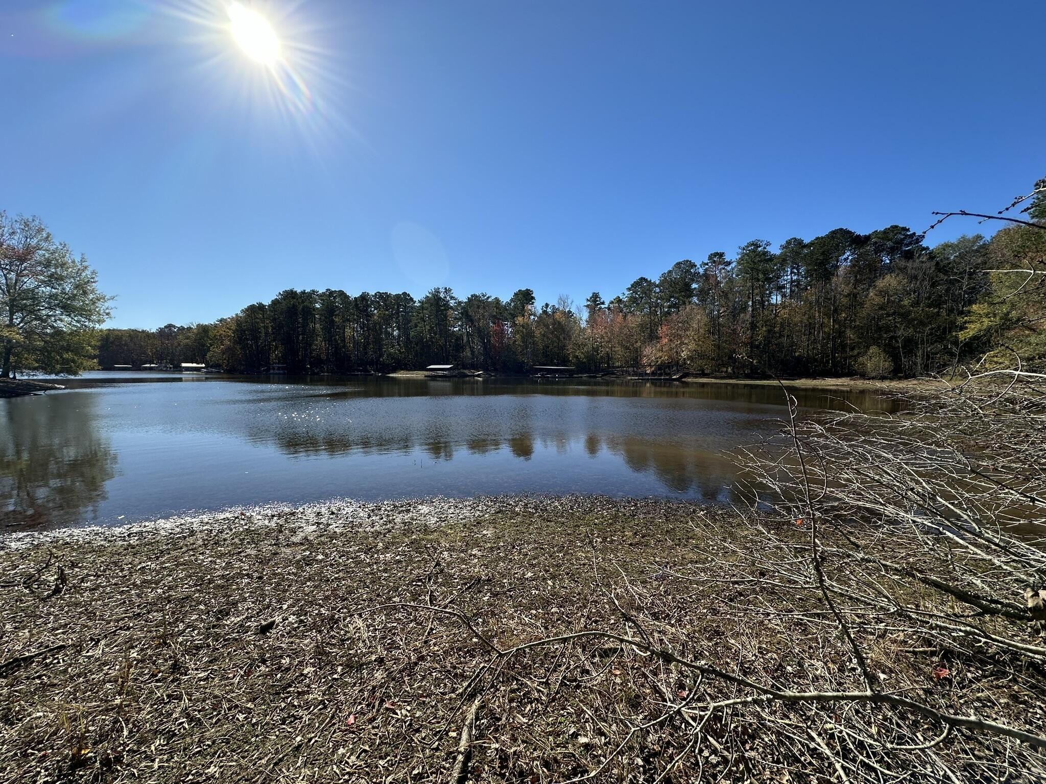 1223 Edge Lane Tignall, GA 30668 - Photo 5 of 14 potential dock site