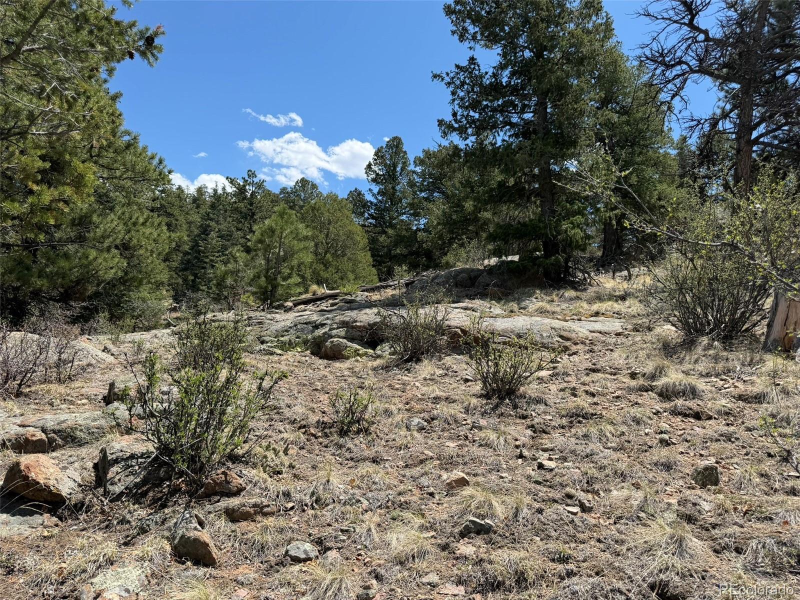 477 Bear Peak Road Westcliffe, CO 81252 - Photo 12 of 39