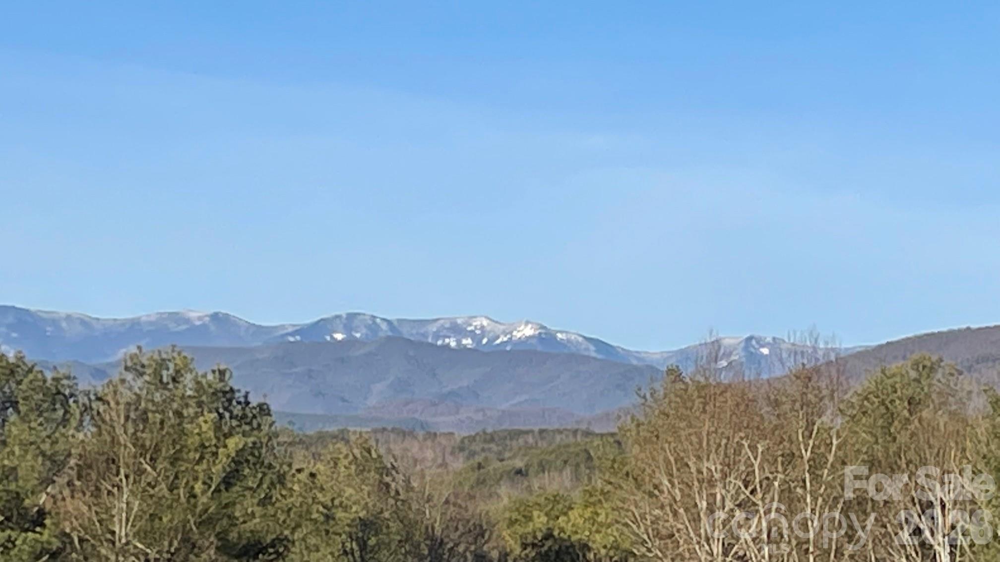 1267 Ten Whigs Ridge Nebo, NC 28761 - Photo 45 of 48