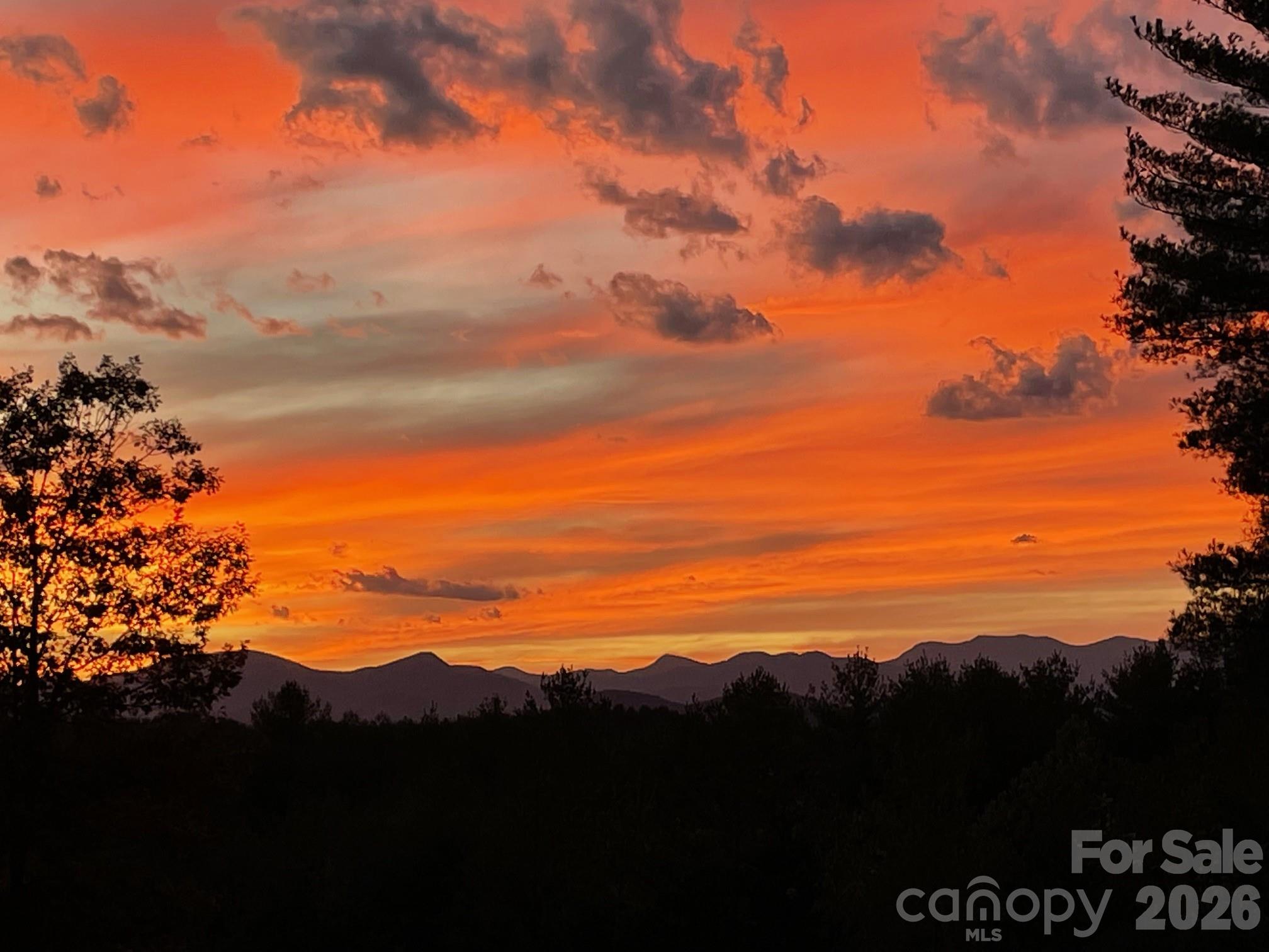 1267 Ten Whigs Ridge Nebo, NC 28761 - Photo 46 of 48