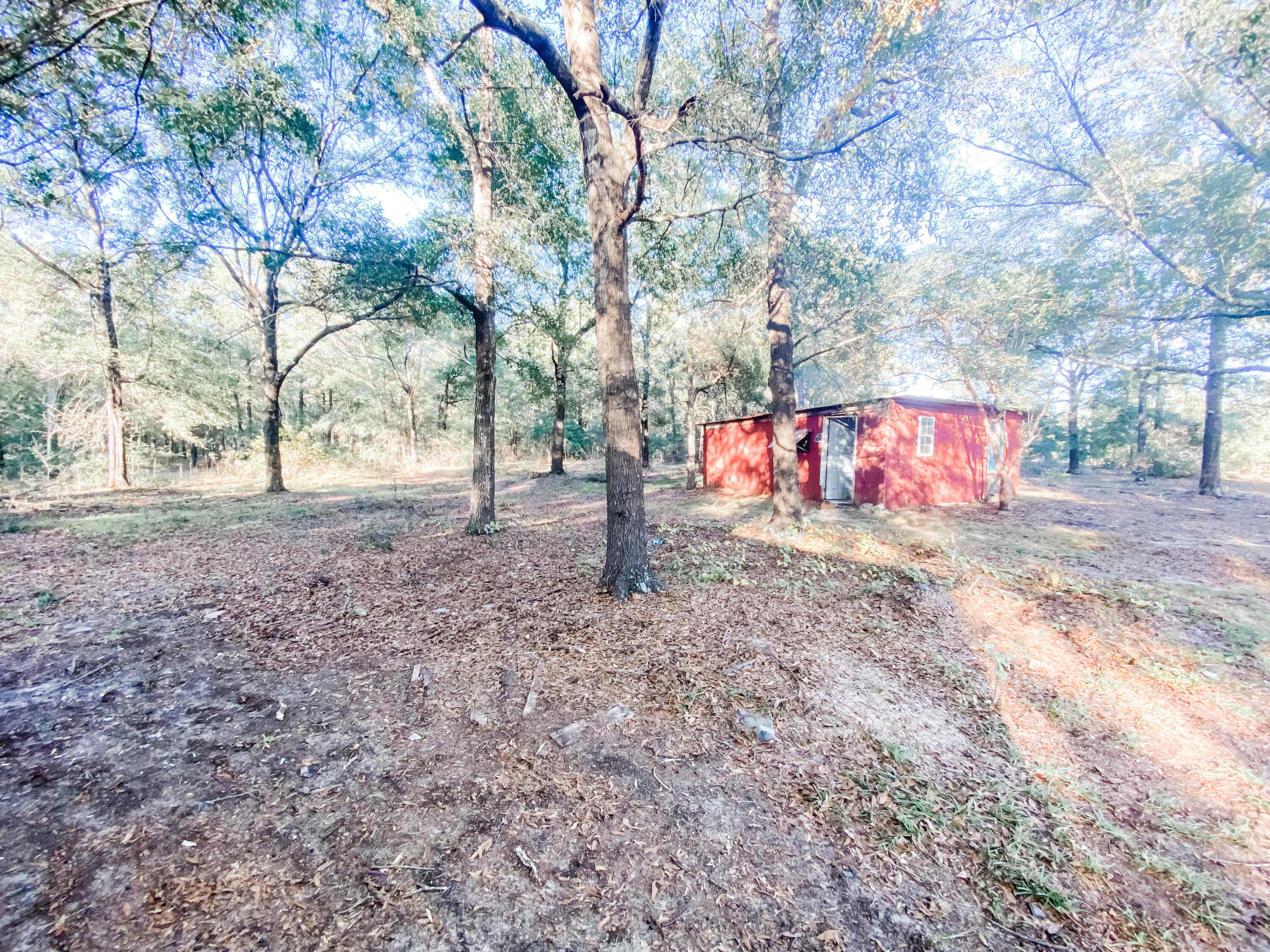119 Fish Or Cut Bait Road DeFuniak Springs, FL 32433 - Photo 13 of 17 Shed