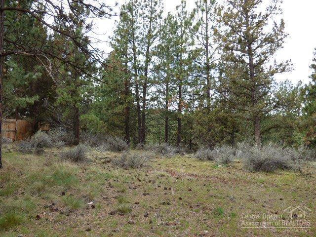 3202 McClellan Road Bend, OR 97702 - Photo 19 of 25 a view of a yard with a tree