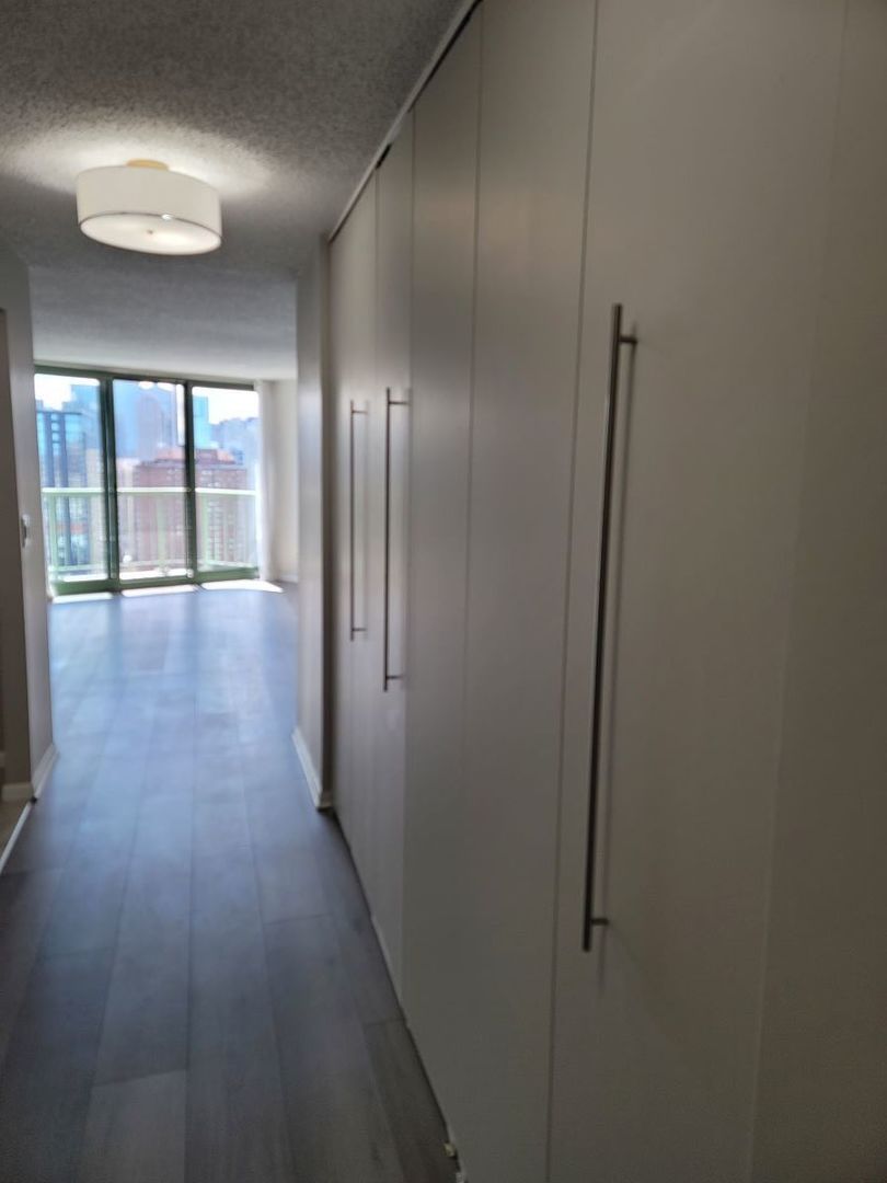 111 West Maple Street, Unit 2806 Chicago, IL 60610 - Photo 4 of 12