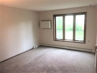 319 Fairgrounds Road, Unit 211 Alexandria, MN 56308 - Photo 4 of 10